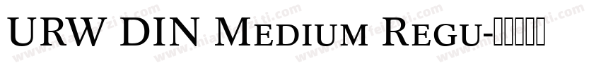 URW DIN Medium Regu字体转换